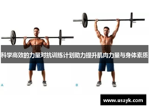 科学高效的力量对抗训练计划助力提升肌肉力量与身体素质