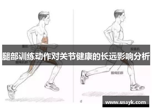 腿部训练动作对关节健康的长远影响分析